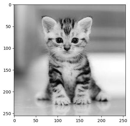 ../_images/0db586b255676ea11d416dd87529c3f0e7ae109c122b5e498b3485cf455d11bd.png